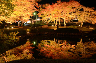 曽木公園の紅葉写真１