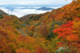 天生県立自然公園の紅葉写真１