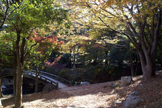 浜松城公園の紅葉の写真３