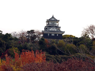 浜松城公園の紅葉の写真４