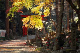 方広寺の紅葉写真１