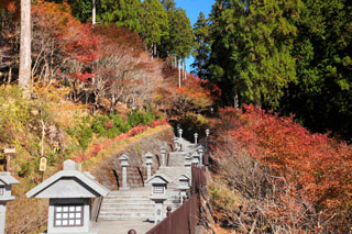 秋葉山の紅葉写真１