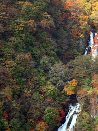 霧降ノ滝の紅葉の写真３