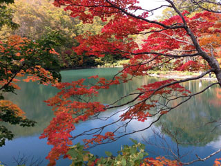 蔵王中央高原・蔵王温泉の紅葉写真１
