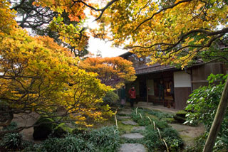 寺島蔵人邸跡庭園の紅葉写真１