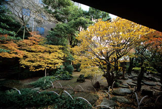寺島蔵人邸跡庭園の紅葉の写真３