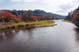浅野川の紅葉写真１