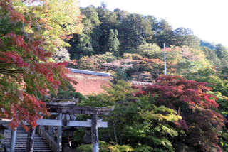 古峯神社の紅葉写真１