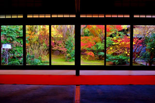 妙心寺 退蔵院の紅葉写真１