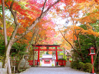 大原野神社の紅葉写真１