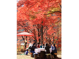 笹戸公園の紅葉写真１