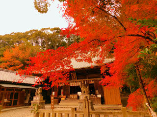 松平郷の紅葉写真１