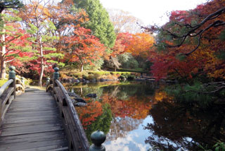 栃木県中央公園の紅葉写真１