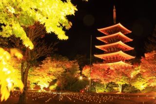 成相寺の紅葉写真１