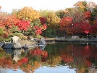 滋賀県営都市公園びわこ文化公園の紅葉写真１