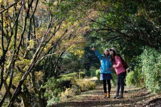 飯山白山森林公園の紅葉写真２