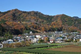 飯山白山森林公園の紅葉の写真４