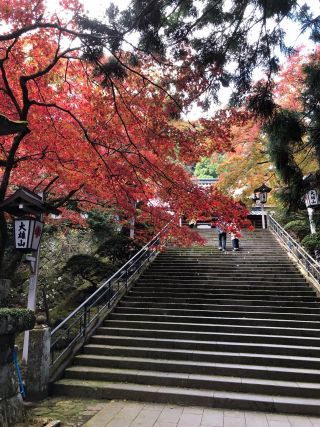 大雄山最乗寺の紅葉写真１