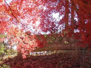 益子県立自然公園 益子の森の紅葉写真１