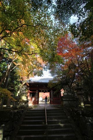 神峯山寺の紅葉写真１