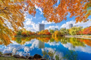 中島公園の紅葉写真１