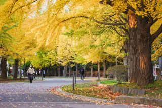 中島公園の紅葉写真２