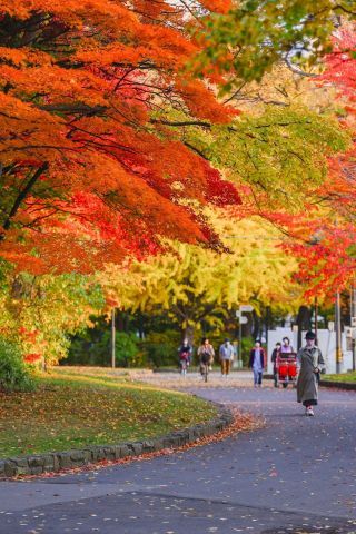 中島公園の紅葉の写真３