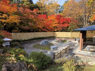 中島公園の紅葉の写真４