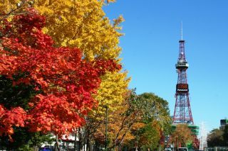 大通公園の紅葉写真１