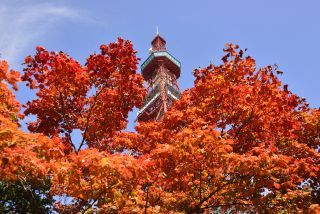 大通公園の紅葉写真２