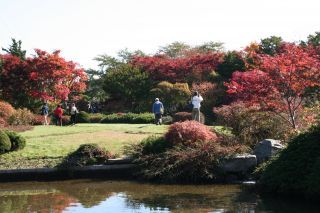 平岡樹芸センター（みどりーむ）の紅葉写真２