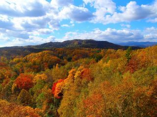 国営滝野すずらん丘陵公園の紅葉写真１