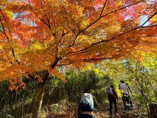 生駒山の紅葉写真１