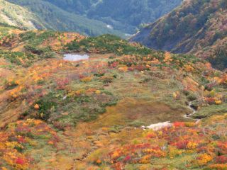 八方尾根の紅葉写真１