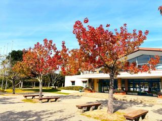 国営海の中道海浜公園の紅葉の写真3