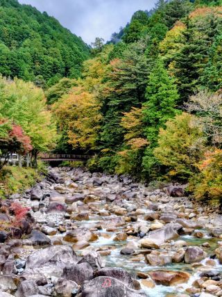夕森渓谷の紅葉写真１
