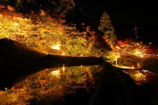 酒谷「光の里」の紅葉写真１