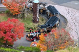 霧島神話の里公園の紅葉写真1