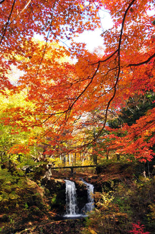 鐘山の滝の紅葉写真１