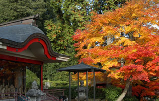 鳳源寺の紅葉写真１