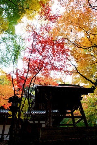 長楽寺の紅葉写真１
