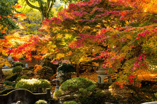 尾関山公園の紅葉写真１