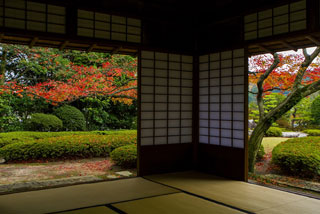 松風園の紅葉写真１