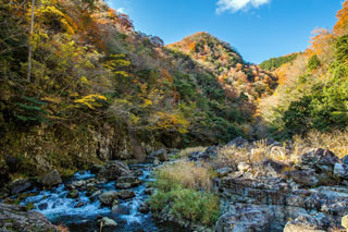 神之瀬峡県立自然公園の紅葉写真１