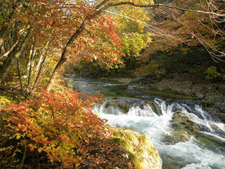 三依渓流の紅葉写真１