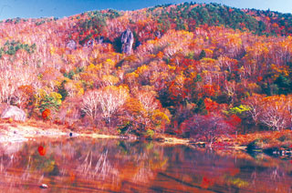 五味池破風高原自然園の紅葉写真１