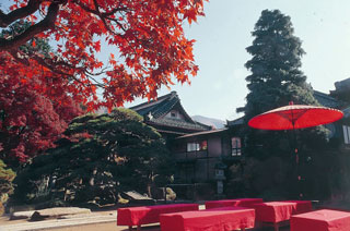 田中本家博物館の紅葉写真１