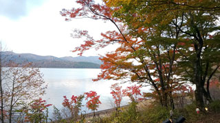 旭日丘湖畔緑地公園（山中湖）の紅葉の写真３