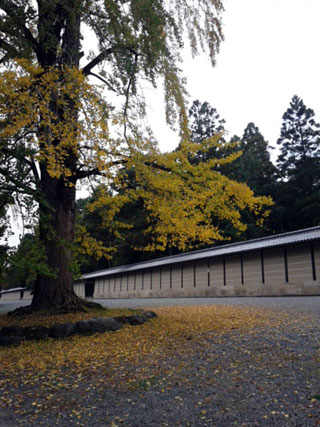京都御苑の紅葉写真１