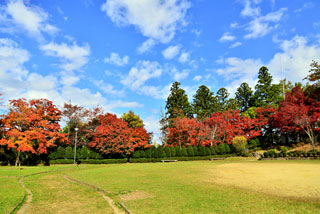 城山公園（高山市）の紅葉写真１